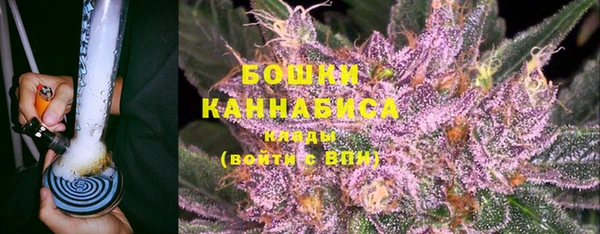 амф Карпинск