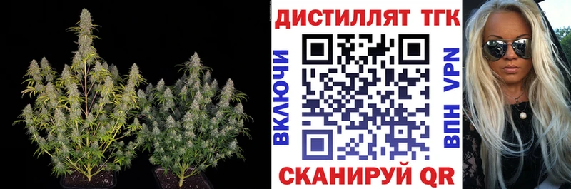 Купить где  Выборг  ТГК Wax 