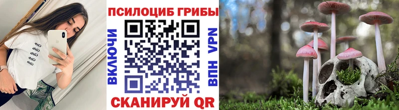 Купить  Выборг  Псилоцибиновые грибы GOLDEN TEACHER 