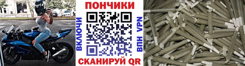 Каннабис план  Купить  Выборг 